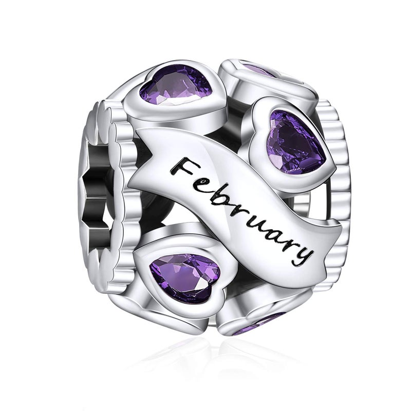 NINGAN February Birthstone Charms 925 Sterling Silver Love Heart Openwork Bead for Charm Bracelets and Necklaces with 5A Cubic Zirconia, Birthday Mothers Day Jewelry Women